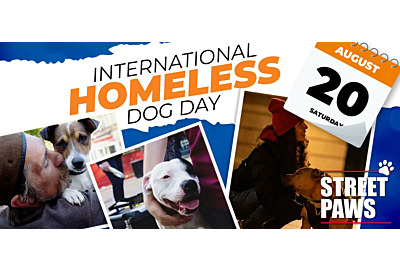 International Homeless Dog Day 