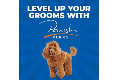 How to level up your grooms with our Pawsh Perks Loyalty Programme