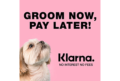 Groom Now Pay Later with Klarna 
