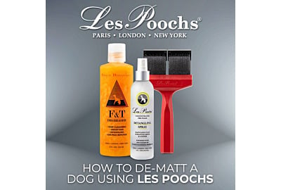 How to Dematt a Dog Using Les Poochs