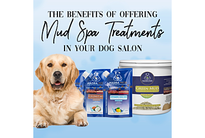 The Benefits of Offering Mud Spa Treatments in your Dog Salon 