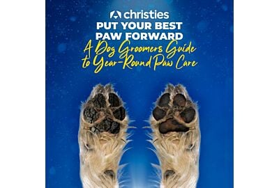 Put Your Best Paw Forward: A Dog Groomers Guide to Year-Round Paw Care