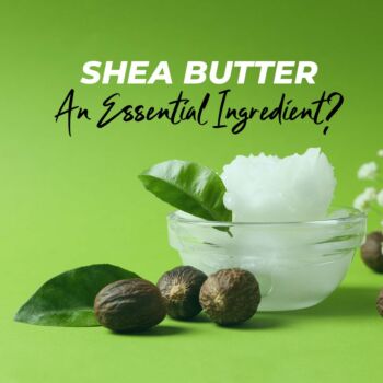 Shea Butter.  An Essential Ingredient for Your Dog’s Coat Care?