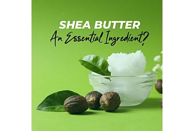 Shea Butter.  An Essential Ingredient for Your Dog’s Coat Care?