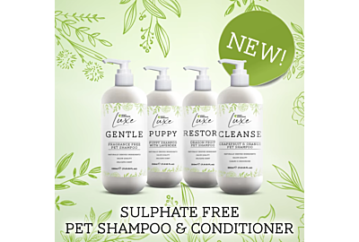Groom Professional Luxe: Nature-Inspired Pet Shampoo for the Modern Groomer