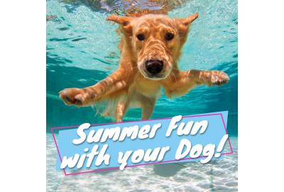 Ideas for Summer Fun with your Dog 