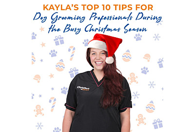 Our Top 10 Tips for Dog Grooming Professionals During the Busy Christmas Season