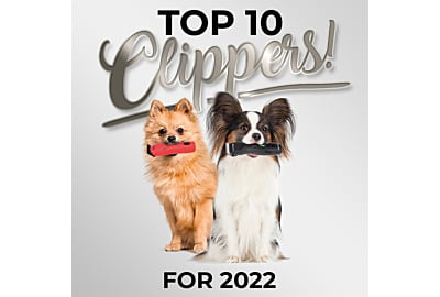 The 10 Best Dog Grooming Clippers for 2022 | Christies Direct