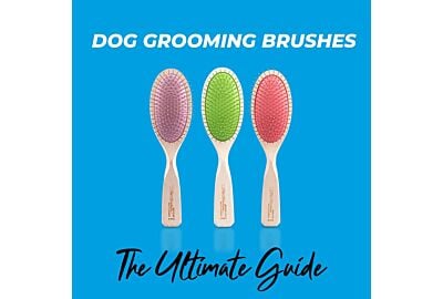 The Essential Guide to Dog Grooming Brushes