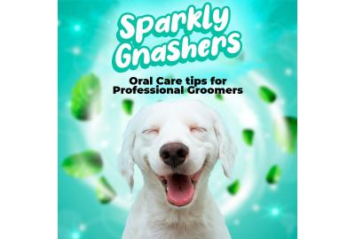 Canine Oral Health - Sparkly Gnashers are just as important for dogs 