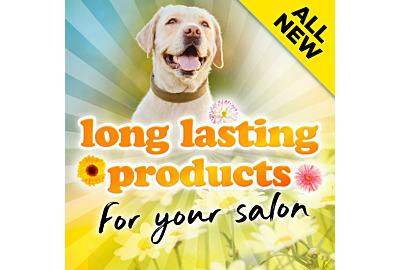 Long lasting products for your salon
