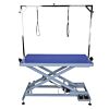 Groom Professional Kilimanjaro Low Level Electric Table Blue 125cm