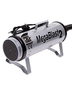 MegaBlast2PowerBlasterSliver-1233-01-jpg