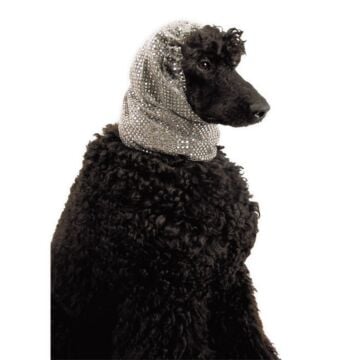 SilverFancySnood-3716-01-jpg