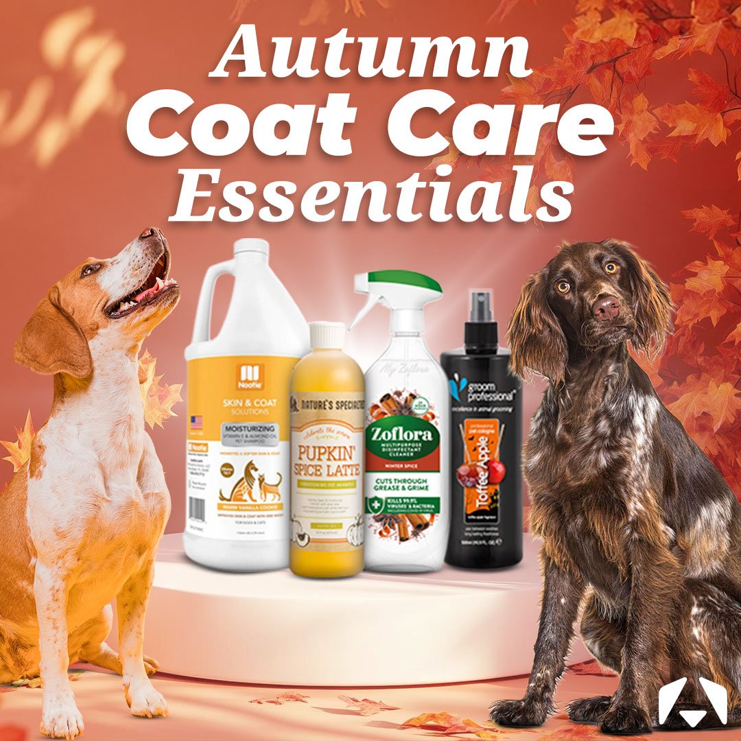 Autumn Coat Care for Dogs: Seasonal Scents & Shampoos