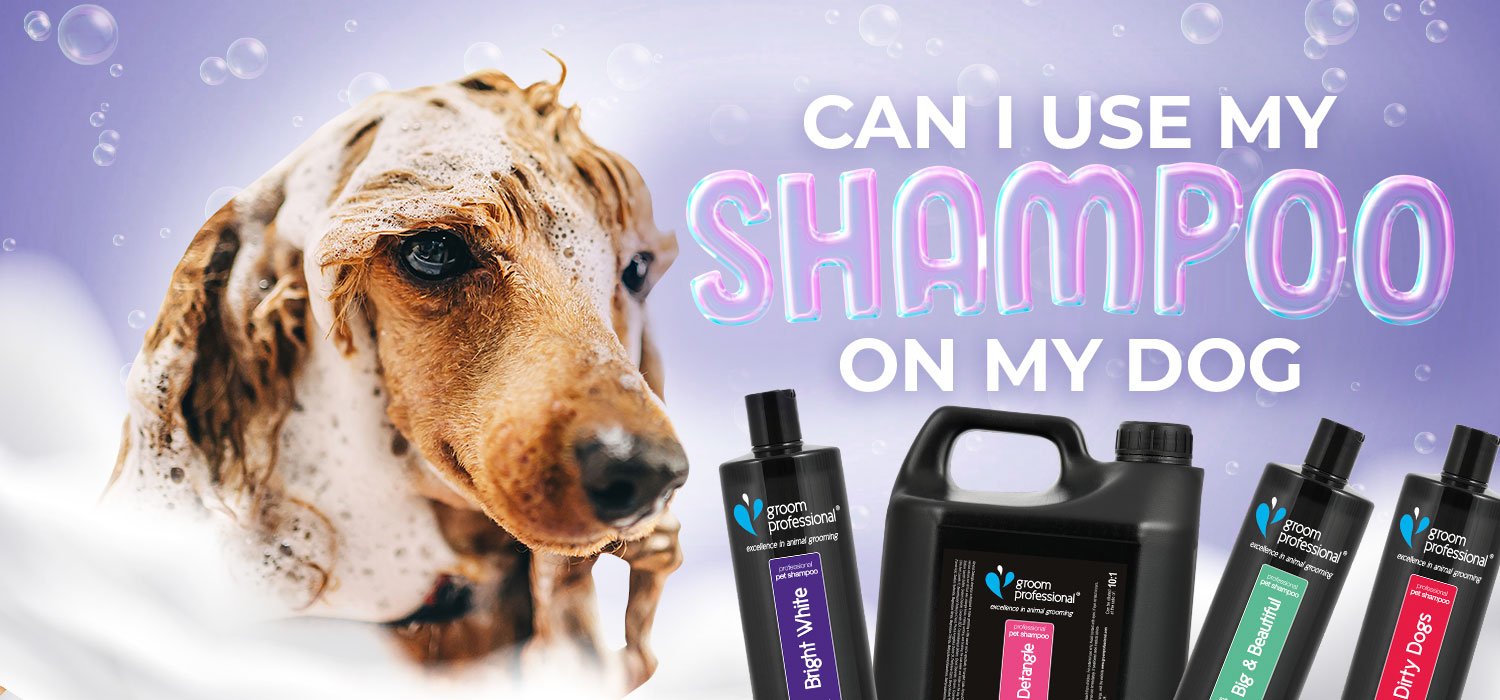 Can I use my shampoo on my dog
