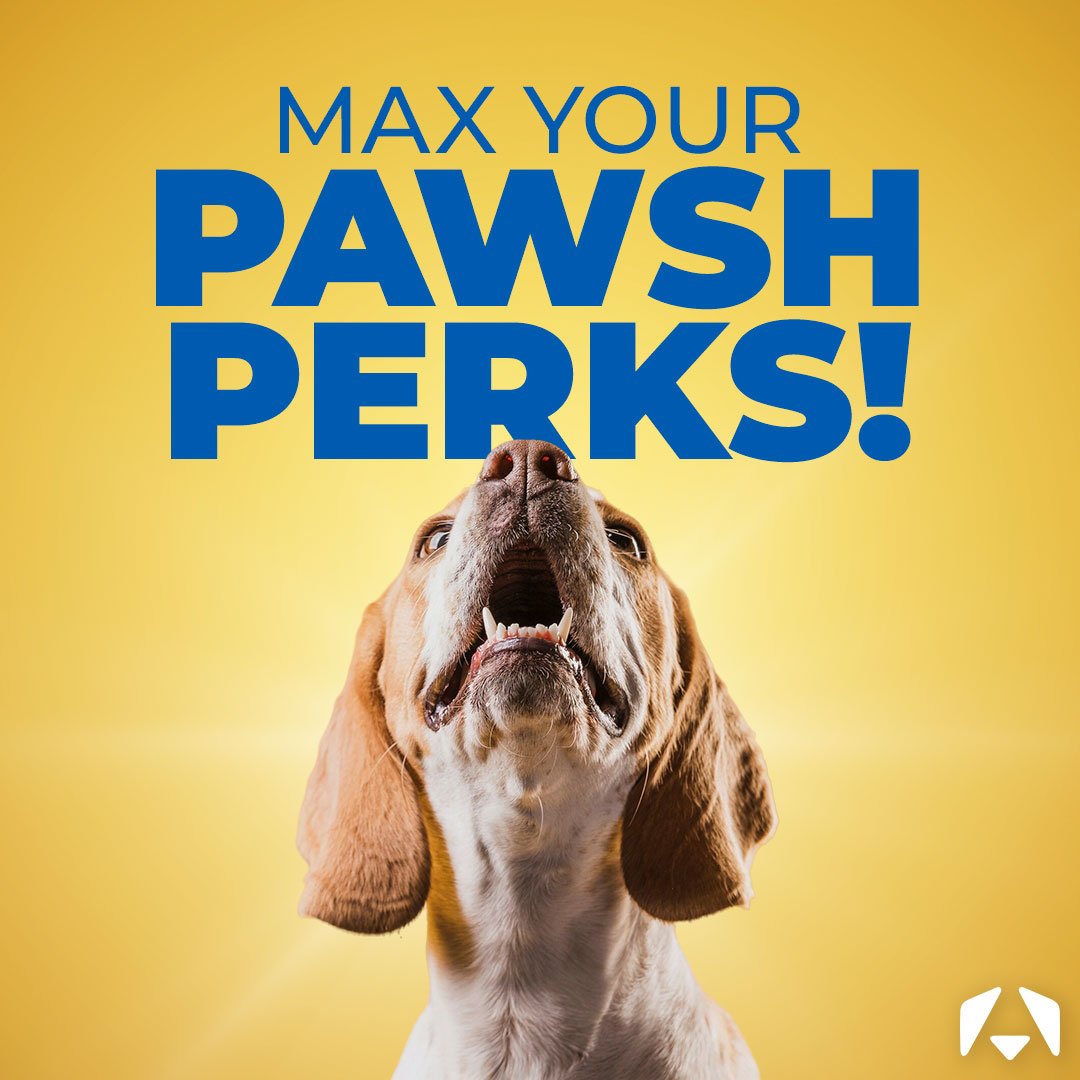 Unlock More Value: How to Maximise Your Pawsh Perks at Christies