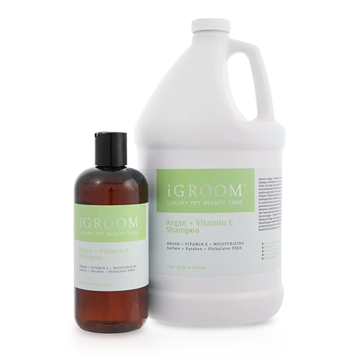 Shop iGroom Argan + Vitamin E Moisturising Shampoo at Christies Direct