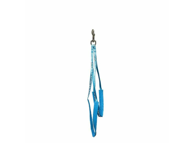 Dog grooming grooming loop. Groom Professional complete body restraint with padding - Cyan colour