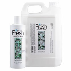 Groom Professional Fresh Peppermint Purify Shampoo - 100% Natural Fragrance