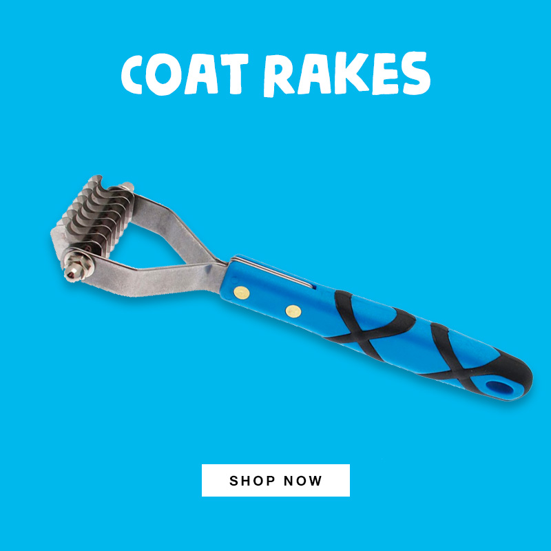 Coat Rakes