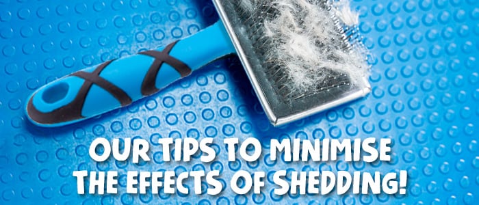 Our tips to minimise the effects of shedding