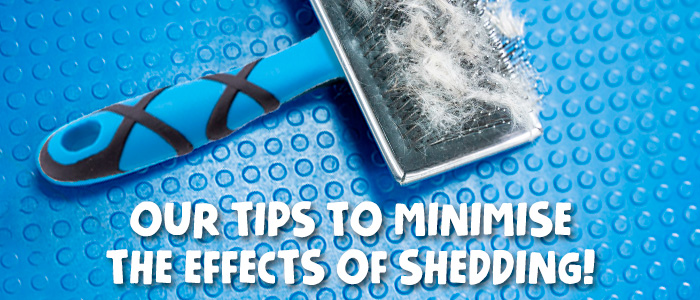 Our tips to minimise the effects of shedding