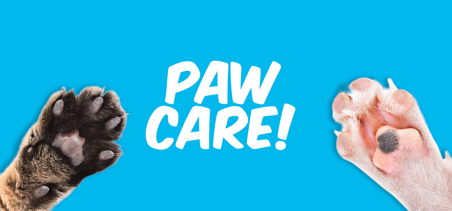 Paw Care