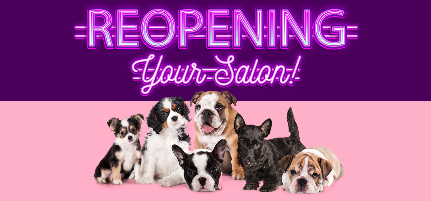 Re-Opening your salon