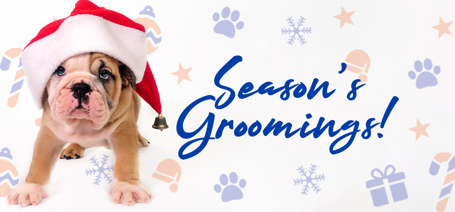 Santa Dog Season's grooming's