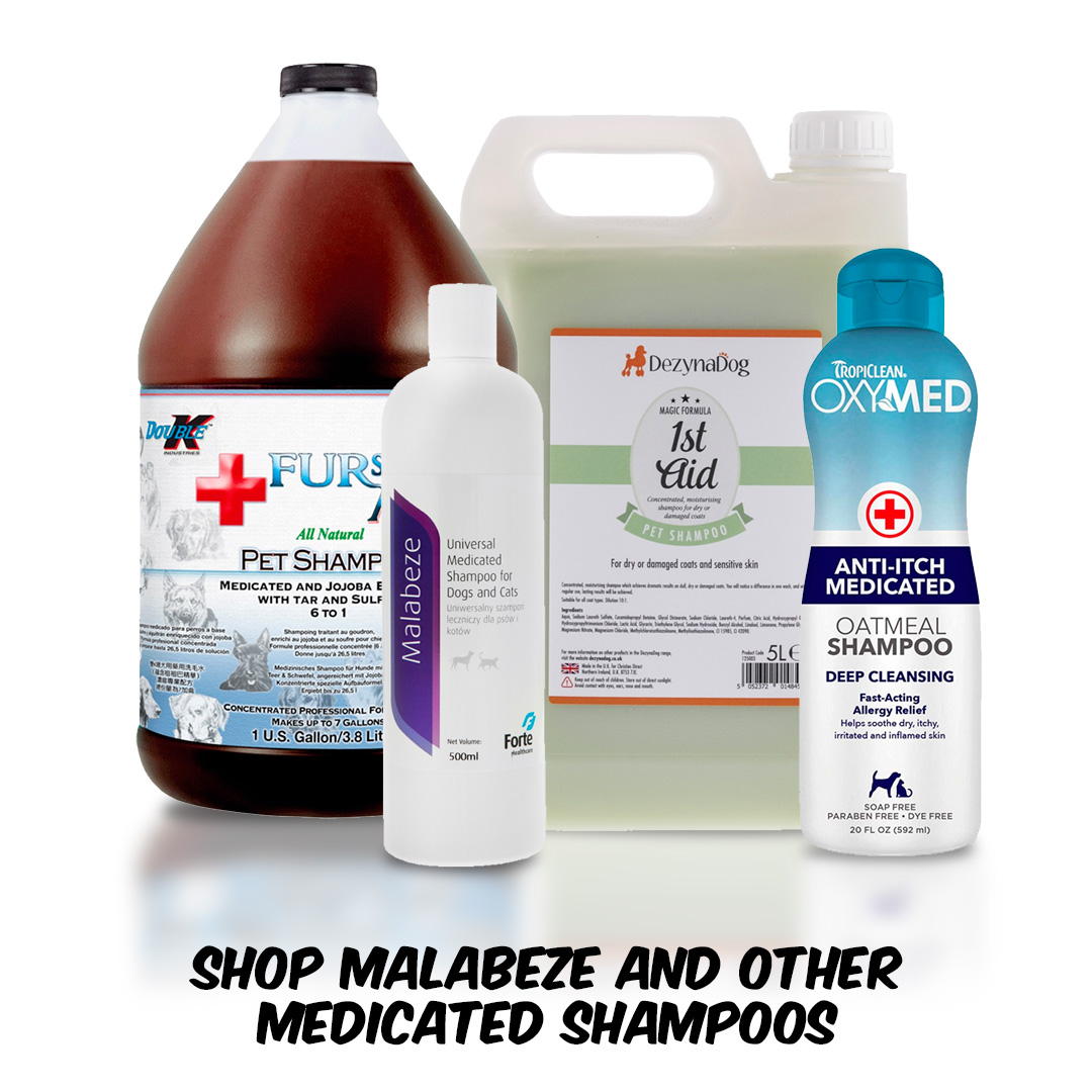 Shop Malabeze and other medicated shampoos