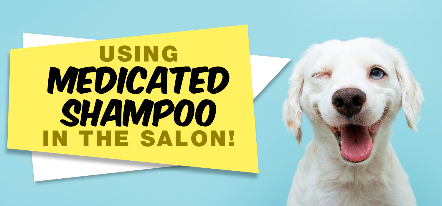 Using Medicated Shampoo in the Salon