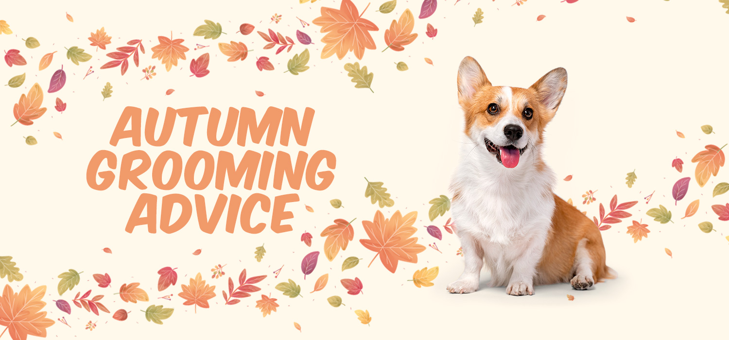 Autumn Grooming Advice