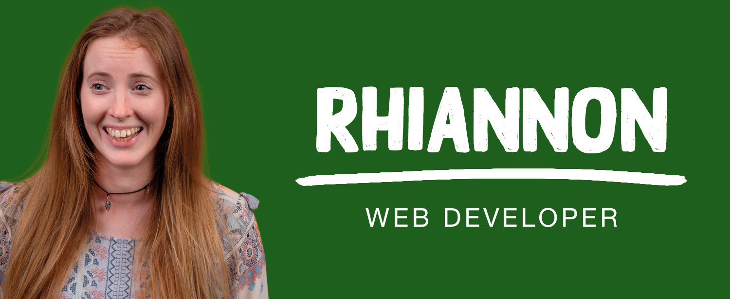 Web Developer