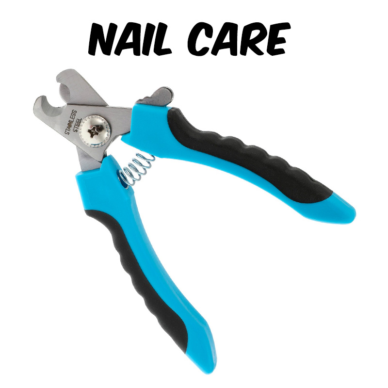 Dog Nail Care