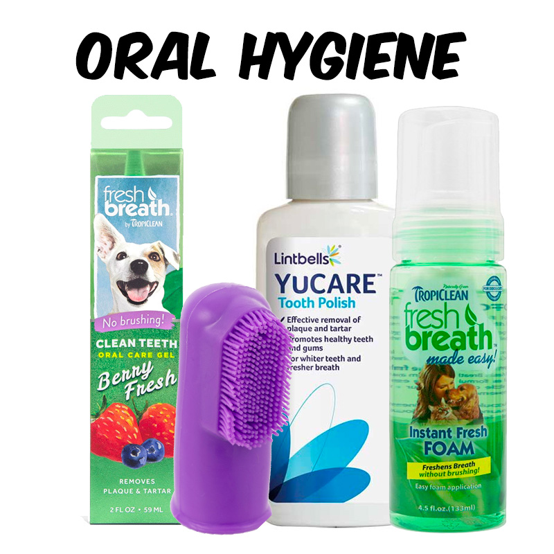 Dog Oral hygiene