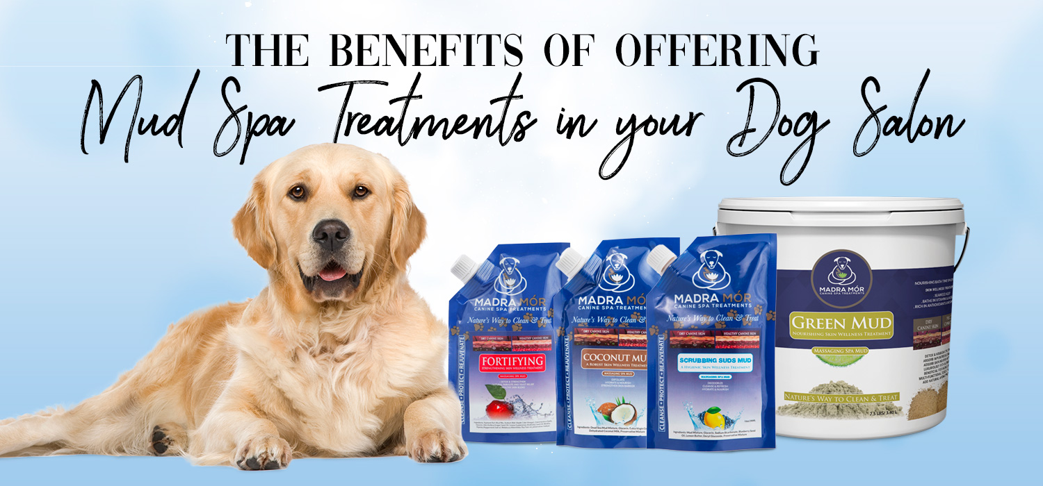 mud spa treatments for dogs
