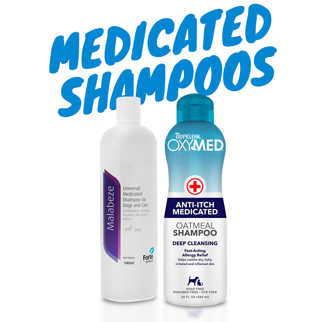 medicated shampoos