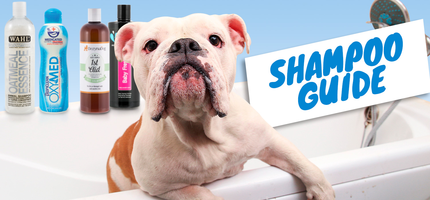 Dog Shampoo Helpful Guide | christies pet grooming