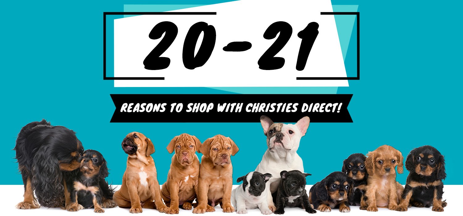 2020-2021 Reasons to shop with christies direct