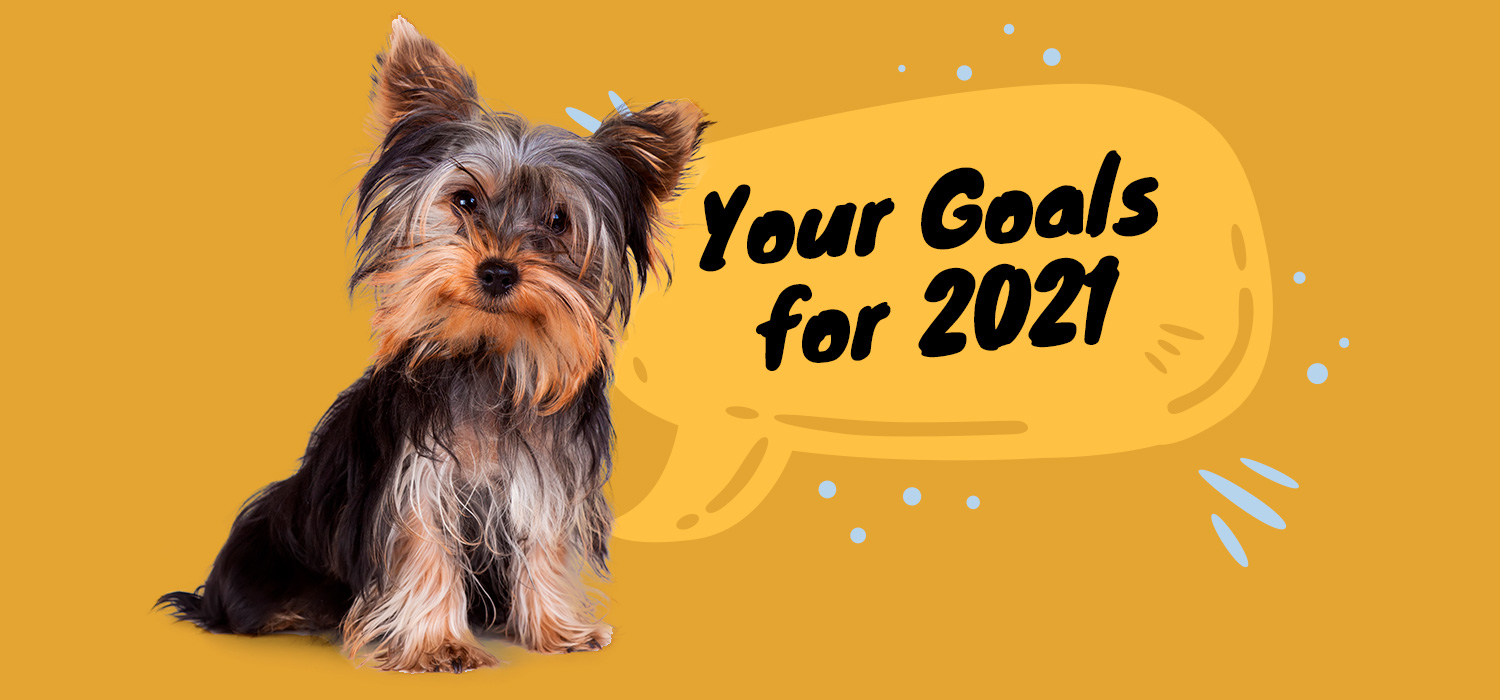 Your goals for 2021