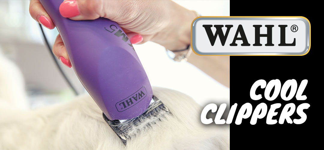 Dog grooming Clippers