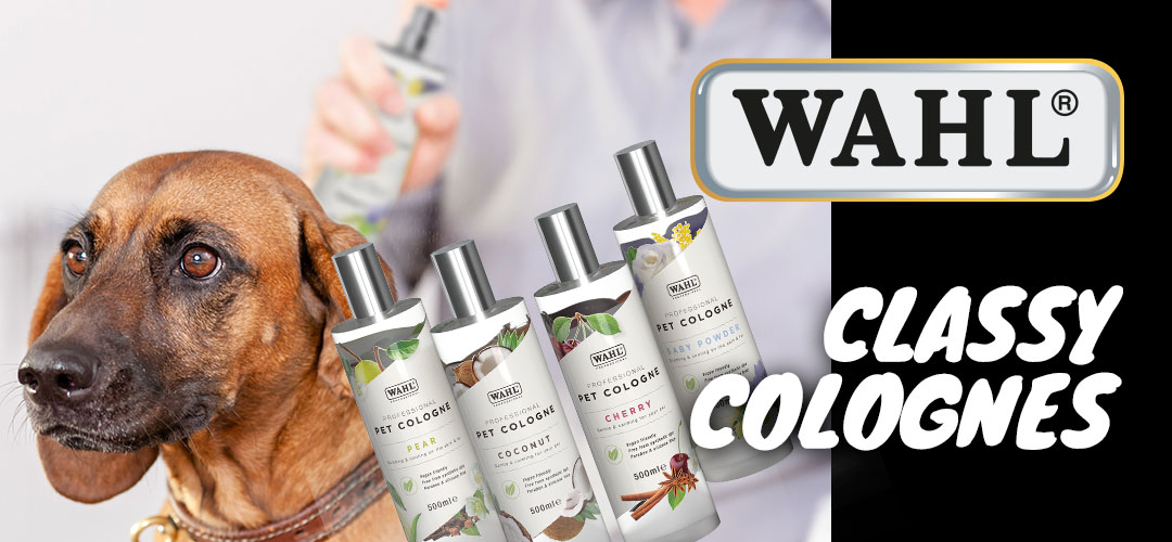 Wahl Cologne