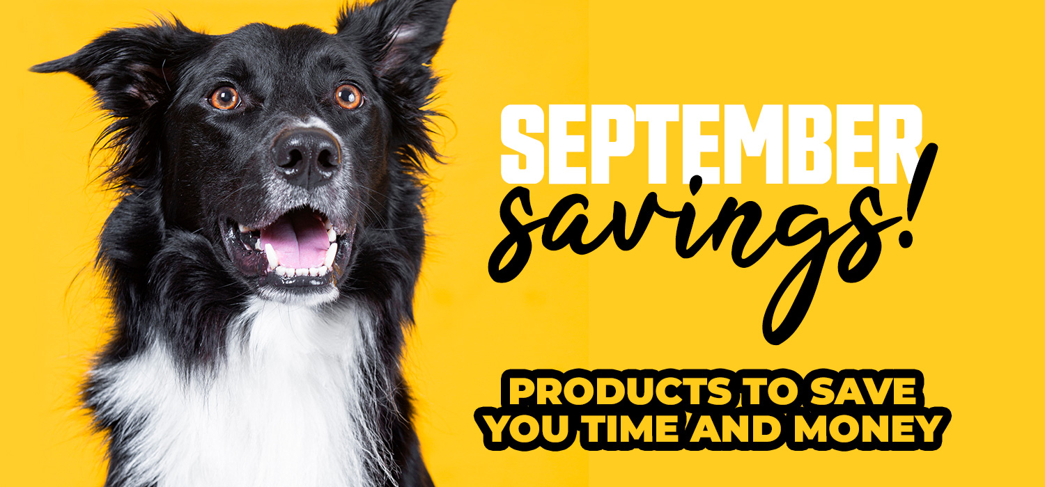 September Savings