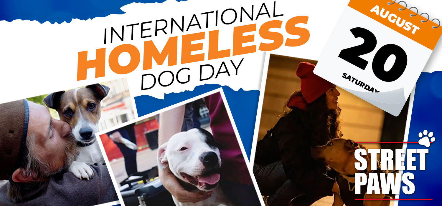International Homeless Dog day banner