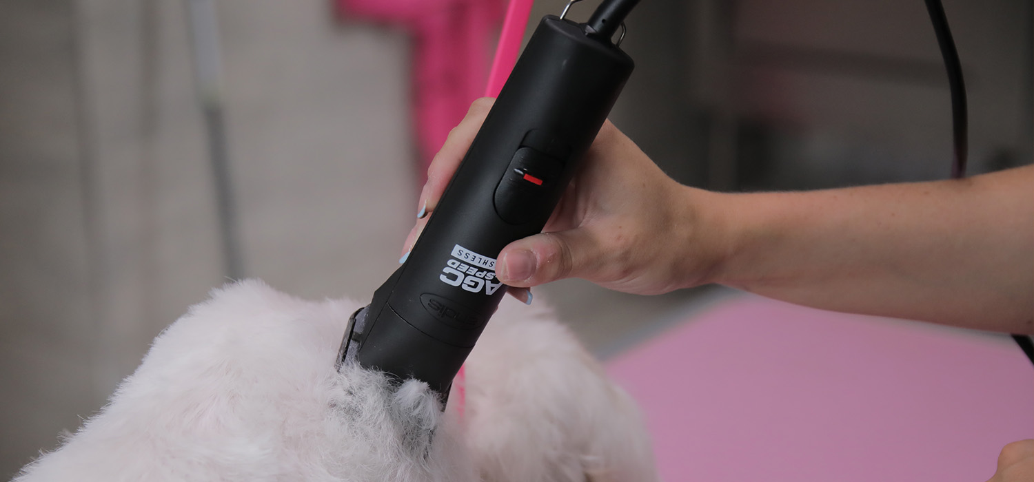 andis agc 2 speed clippers on dog