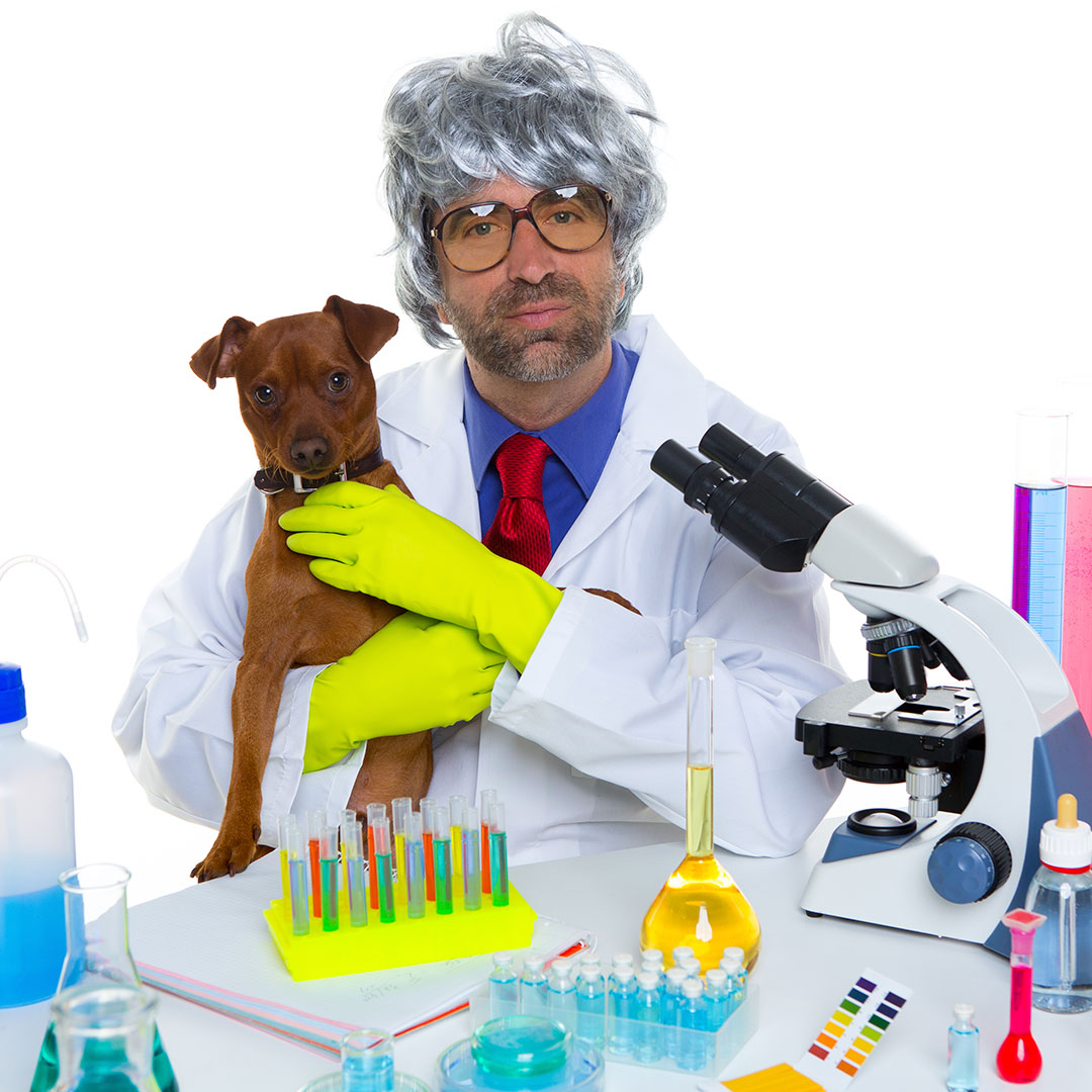 scientist studying dog