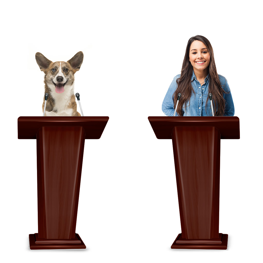 dog and owner debate