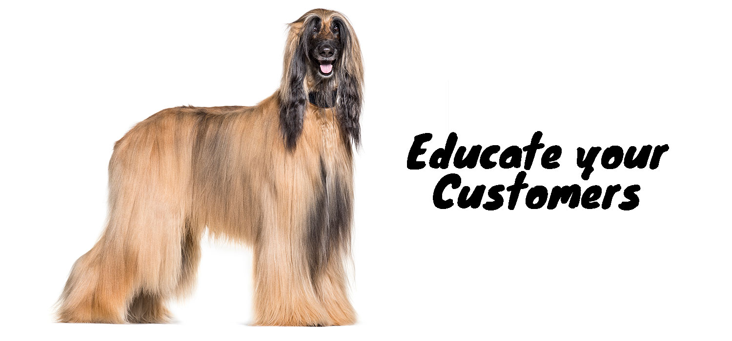 afghan hound with text educate your customers