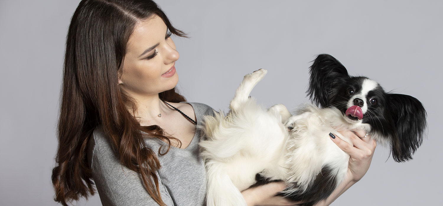 happy dog held by owner